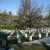 5. Il cimitero di Arlington