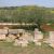 22. Parco archeologico di Selinunte