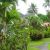 Rarotonga_giardino2